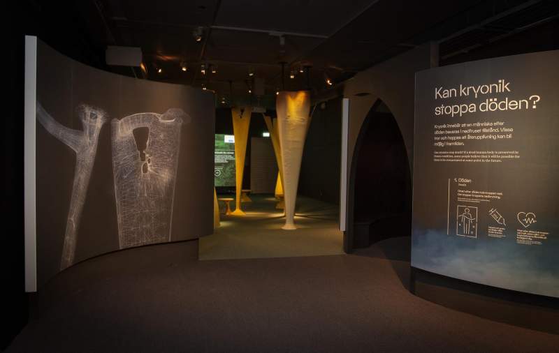 galleri/1587110555_kb-8760